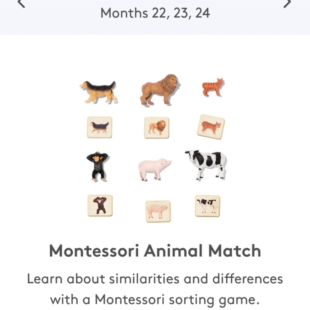 Animal Match Sorting Game - Neutral Multi